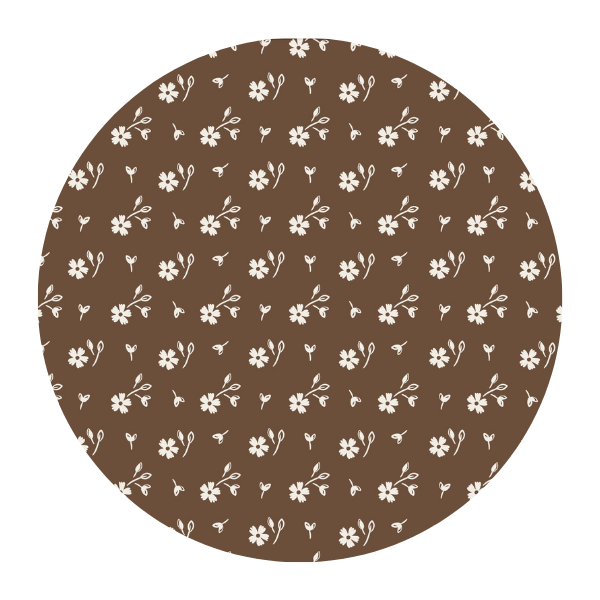 Introducing: Cocoa Ditzy