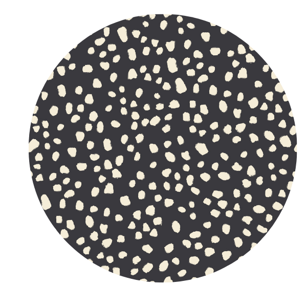 Introducing: Stardust