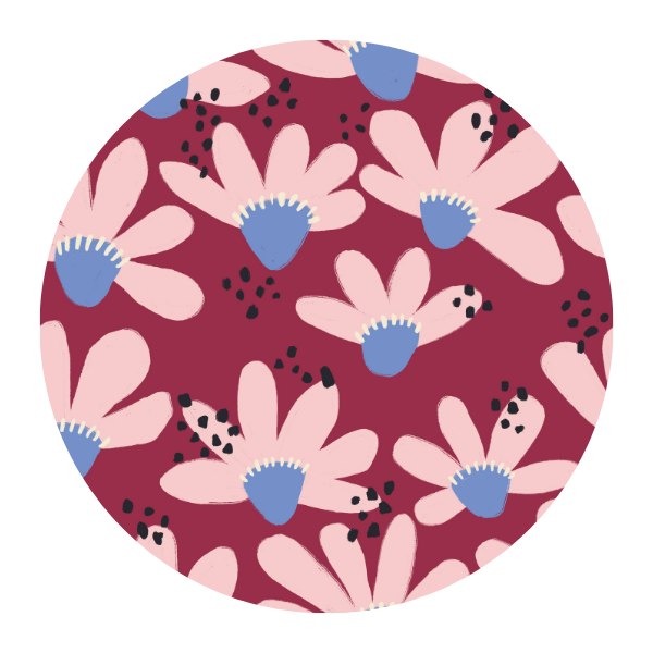 Introducing: Coneflower