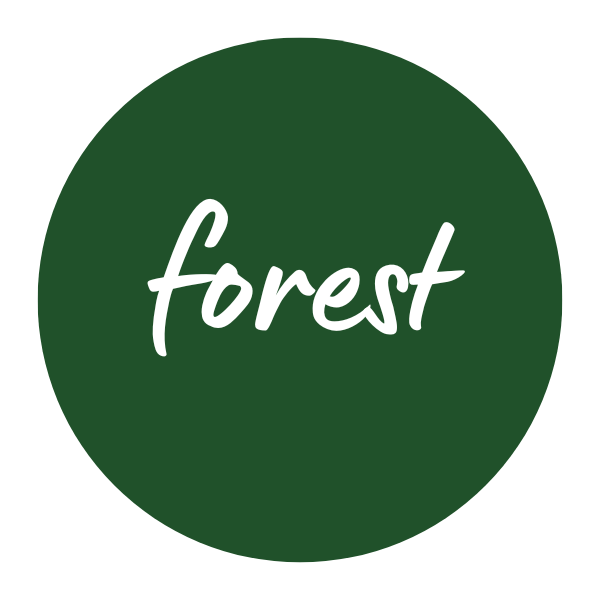Introducing: Forest