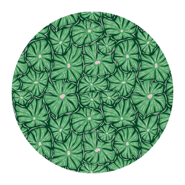 Introducing: Swirlflower